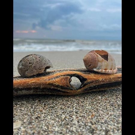 Cocoa, Beach House المظهر الخارجي الصورة