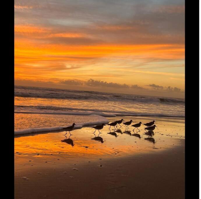 Cocoa, Beach House المظهر الخارجي الصورة