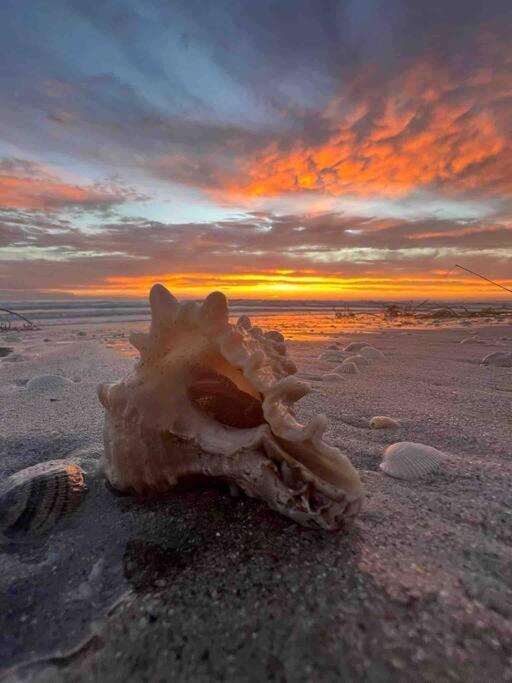 Cocoa, Beach House المظهر الخارجي الصورة
