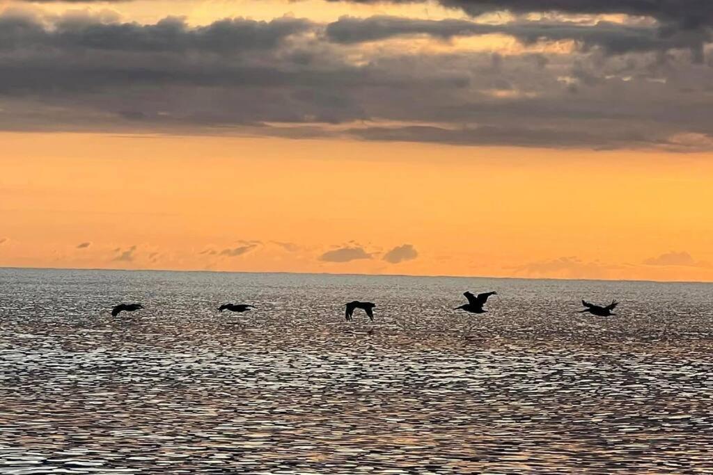 Cocoa, Beach House المظهر الخارجي الصورة